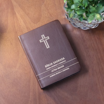 image_3d411635-6858-4a81-bdb1-ba96952b4f8b