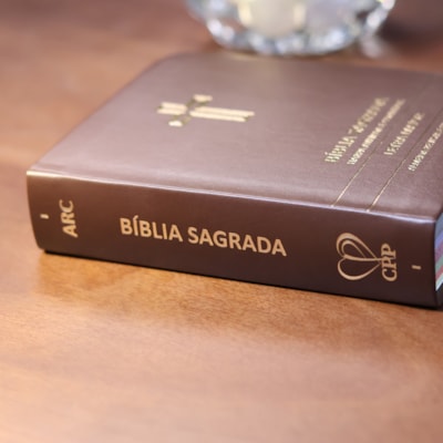 image_589c993d-b23c-431d-8882-3f084d76e0db