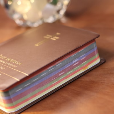 image_2d9955ad-c827-4410-960a-addc9519c560