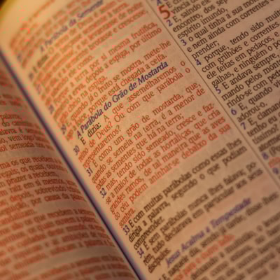 image_d95b8bee-fc14-4087-9e74-db3dcec49c0e