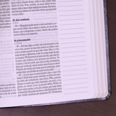 image_f6559284-fd72-4cb9-bfc2-0bb4a0f5520a