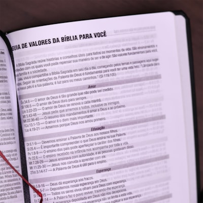 image_b0db3ce0-508c-4d83-b047-6692406d7d69