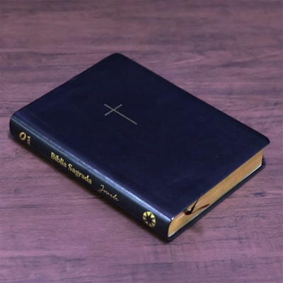 image_48df816f-f90b-4504-9e80-39900dadba2b