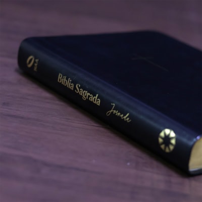 image_43119da8-d75a-46fb-af2b-74028bba7328