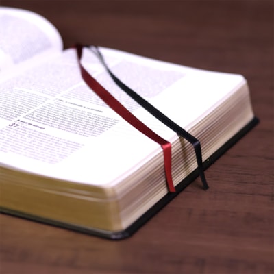 image_20f098a7-8c3b-44c3-889c-243287ceeb60