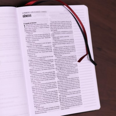 image_e84b5571-e409-4219-9f81-6c3494a60584