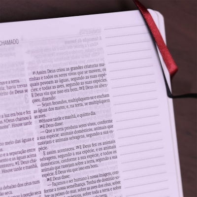 image_ac8d63b3-53a6-448a-a8de-55ef9b72ef3a