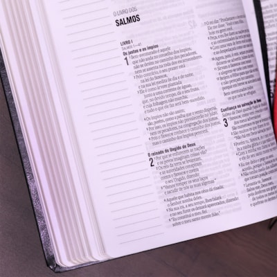 image_f2e37d8b-1221-4a23-b111-7724873dd5d1