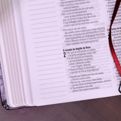 image_d29dc1a2-e033-451c-8a83-aa30358926ec