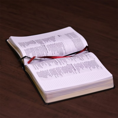 image_c5fa47a3-0b57-4815-8592-7d26dfb66633