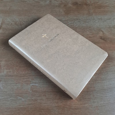 image_47b11f9a-d4eb-44e3-8155-edcf0c930f3e