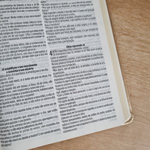 Bíblia Sagrada Cruz Nude | ACF | Letra Maior | Capa Luxo