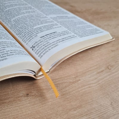 image_faf55972-8ec1-43ad-a6ba-60bc431c44fc