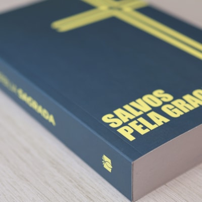 image_815b376d-3f55-4afe-8fce-59d7d8fdff4b