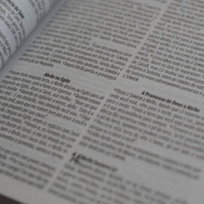 image_d279015b-223e-485a-88d4-013369069fc7