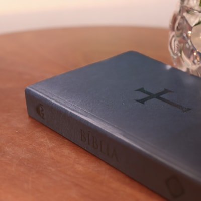 image_6fda88a5-8f62-4f0e-85ba-55fefc6f11cc