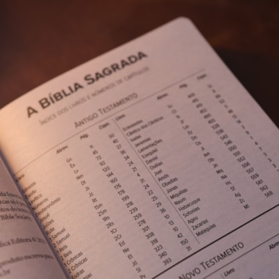 image_36eb49b1-16c1-420f-8d66-3ff2df65ba30