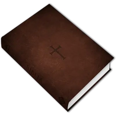 image_6dd07d42-828c-446e-82b0-c04f89f2444a