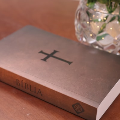 image_f5acf5bd-4b22-451a-816b-be2e7f50f090