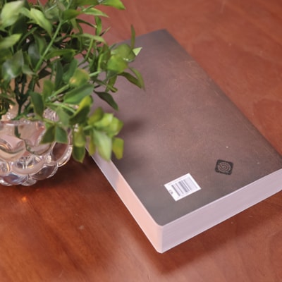 image_9f1640e9-0321-4d31-b074-c1b62dfcf968