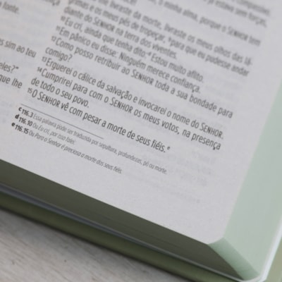 image_e927a48b-f80e-4ee4-b807-8af7b68eb732