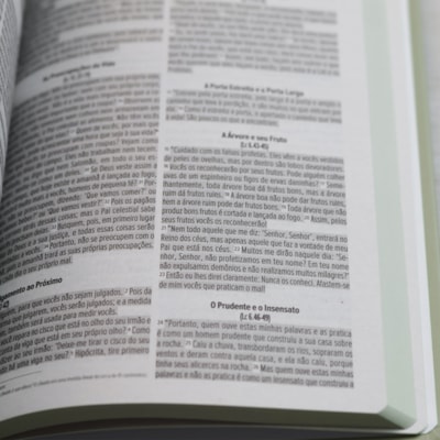 image_505e688b-4da0-4623-a36a-6089d71c893c