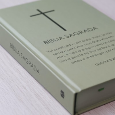 image_4fad9589-ca51-4fd1-9017-c0f5d9067063