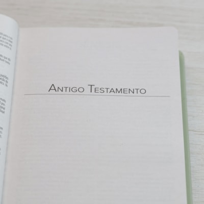 image_b649c8d4-aa2c-42d9-a1b2-d32f61a05f28