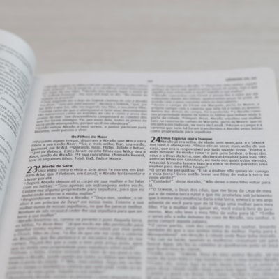 image_e20385b7-0169-485e-b36b-a16c3cbe585e