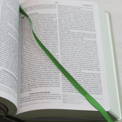 image_cc650ec0-4f5b-40e3-97b9-f4b2e18f3471