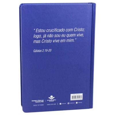 image_3b49d150-dfe7-45ac-9fae-f4cca6d873b9