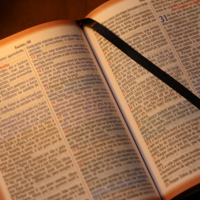 image_85a285c2-62ce-4dc1-9c80-197f3fec4948