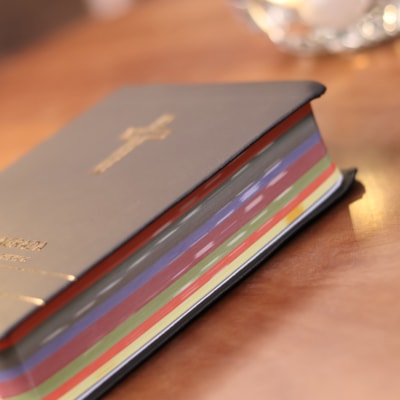 image_336f28c5-1383-4299-9c0e-04a3ddcddf8c