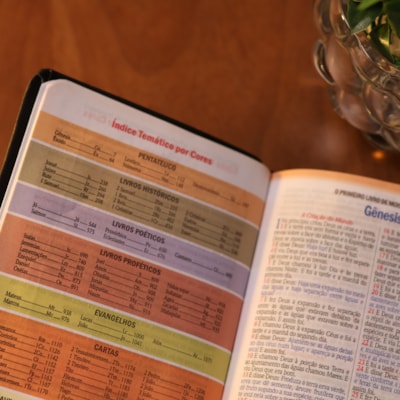 image_860fc946-ec87-47e6-bfb6-5322638f17d7