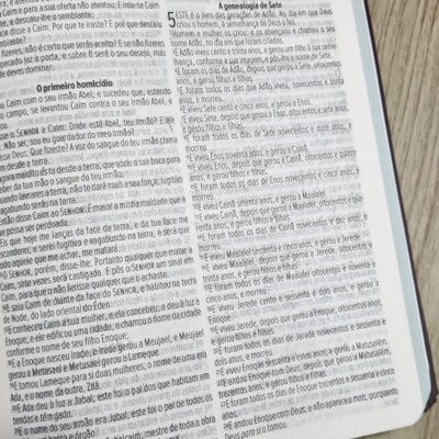 image_082f389b-add9-4510-b3b3-c542d173327e