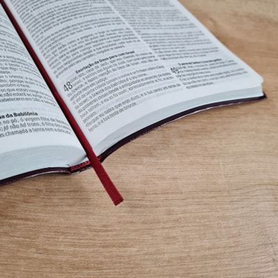 image_b99391f4-b66b-4d1c-8c0c-49dc5a7dc99e