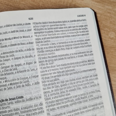 image_dce17402-623e-4385-985b-4a7ea7981dfd