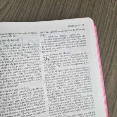 image_21c50b3b-6d5a-4b51-8cf9-3a4ea635cc1b