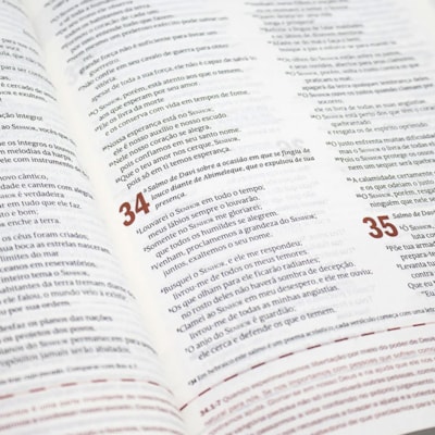 image_84c8cc4f-1fca-4a69-9851-efa24d89340a