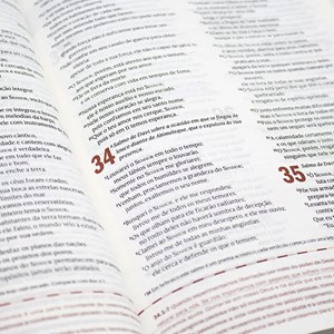 Bíblia Sagrada de Estudo Desafios de Todo Homem | NVT | Marrom