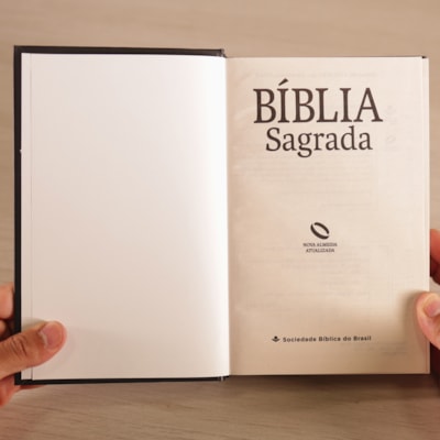 image_da08e385-57c9-4b4c-bf7b-91f35b06ffba