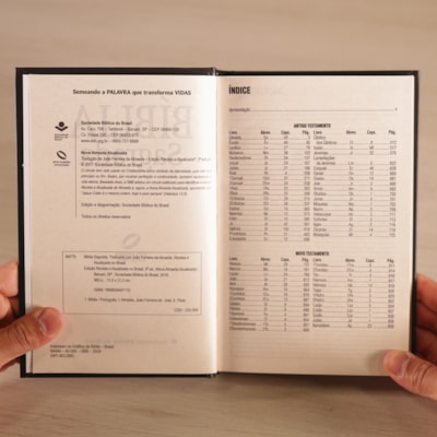 image_4cea0577-279e-443e-a720-cdc4cca17d0e