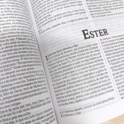 image_f9c628b5-1f3c-4aba-8235-89eefb01544f