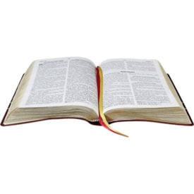 Segunda imagem do produto Bíblia Sagrada Dicionário e Concordância | ARA | Letra Grande | Preta Luxo