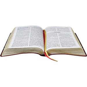 Bíblia Sagrada Dicionário e Concordância | ARA | Letra Grande | Preta Luxo