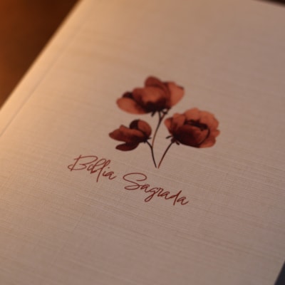 image_befabaa8-c100-4060-8e8f-c6b2e86198bf