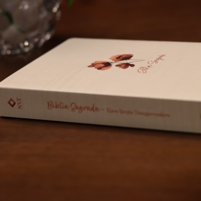 image_47aa6a37-a4b4-4345-be26-25d72dbb4051