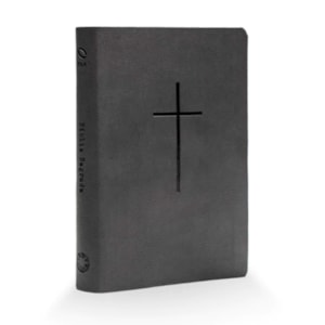 Bíblia Sagrada | Dom de Deus | Letra Grande | Cinza