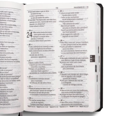 image_d56221b2-8aff-4717-8960-4fba5c674978