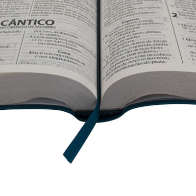 image_155c9ff9-e472-4e6a-b1ae-83c9cc47c318